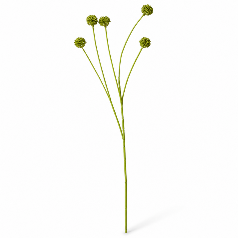 BILLY SPRAY - GREEN