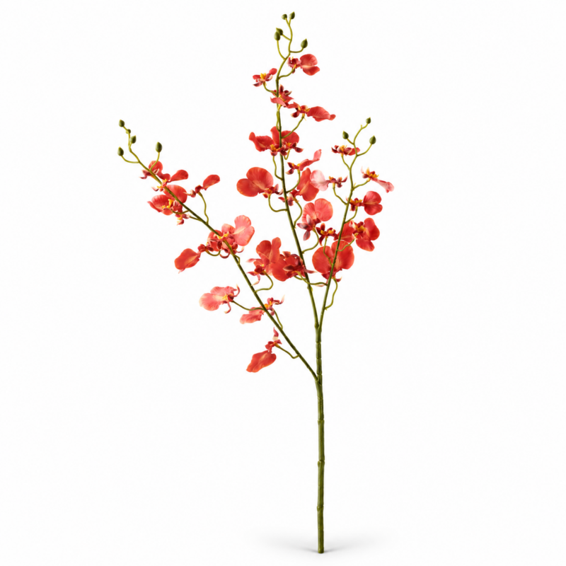 ORCHID DANCING BURNT ORANGE