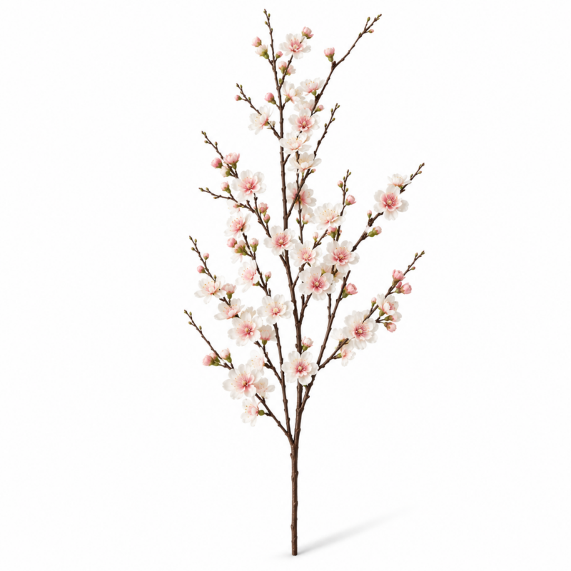 BLOSSOM PLUM