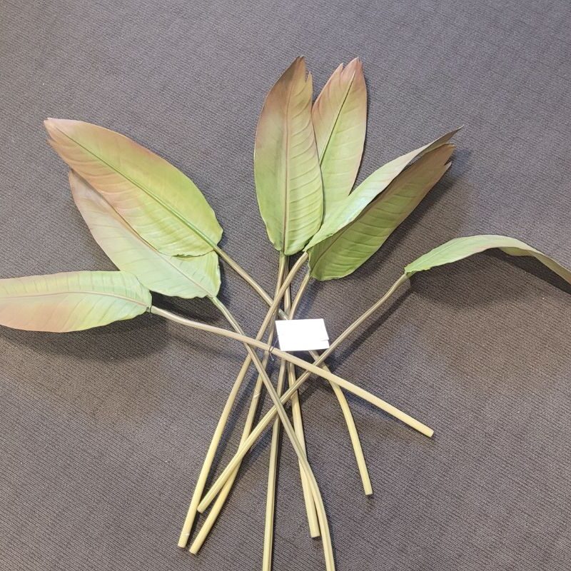 Bird of Paradise Set of 8 Leaves (Decorative Plant)