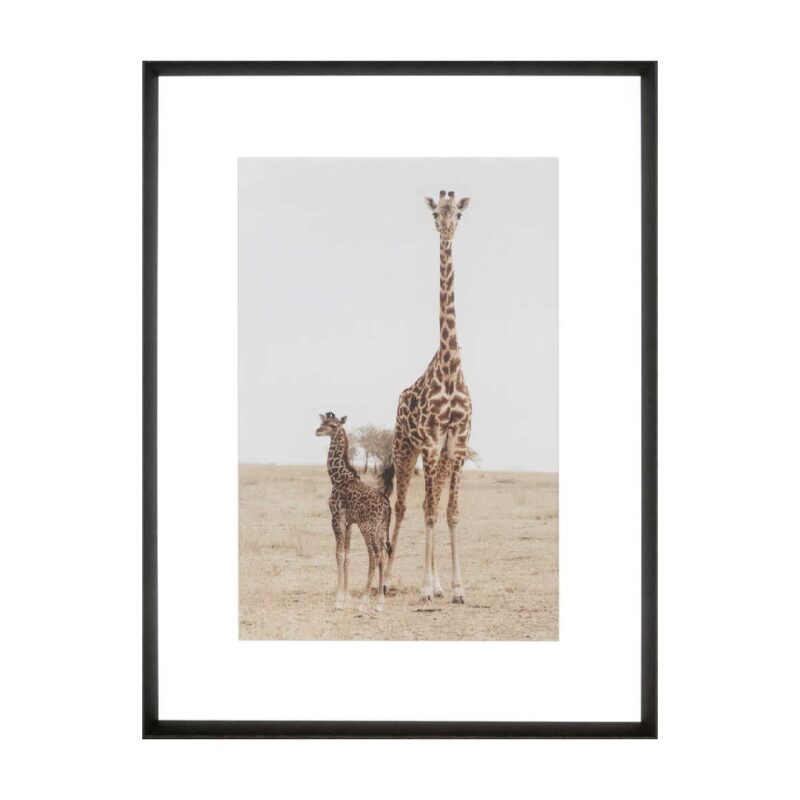 Mother & Baby Giraffe - Print