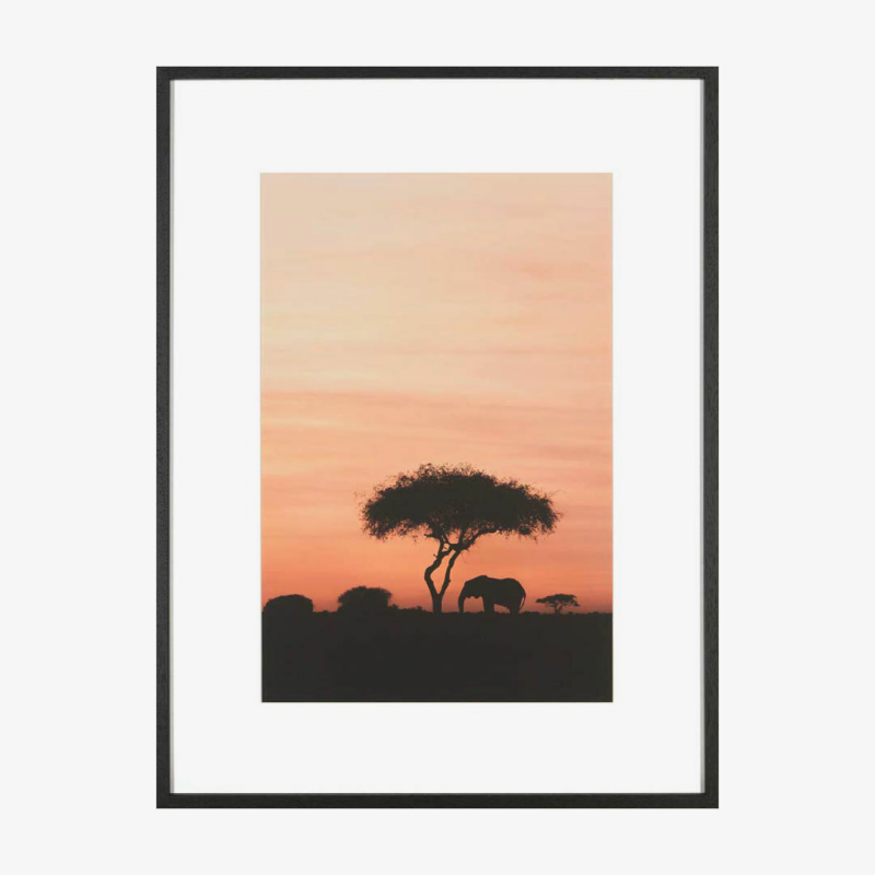 Dazzling Sunset Print