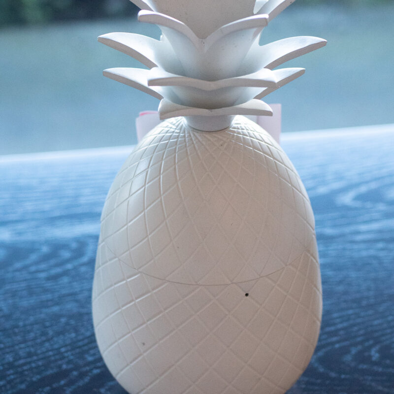 PINEAPPLE WHITE CANISTER WITH LID