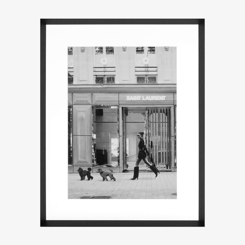 WHO LET THE DOGS OUT? PRINT