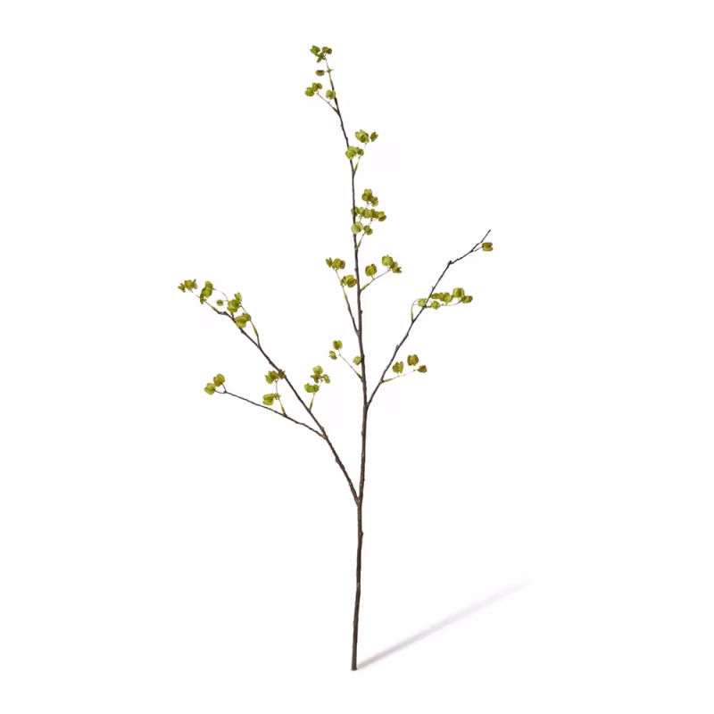 ELM SEEDING SPRAY GREEN