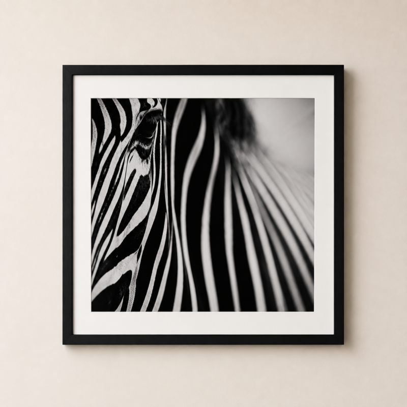 ZEBRA PRINT