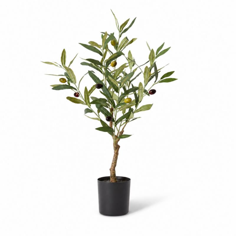 OLIVE TREE Small