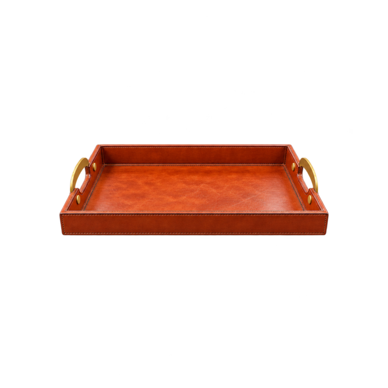 LEATHER TRAY WITH BRASS HANDLES