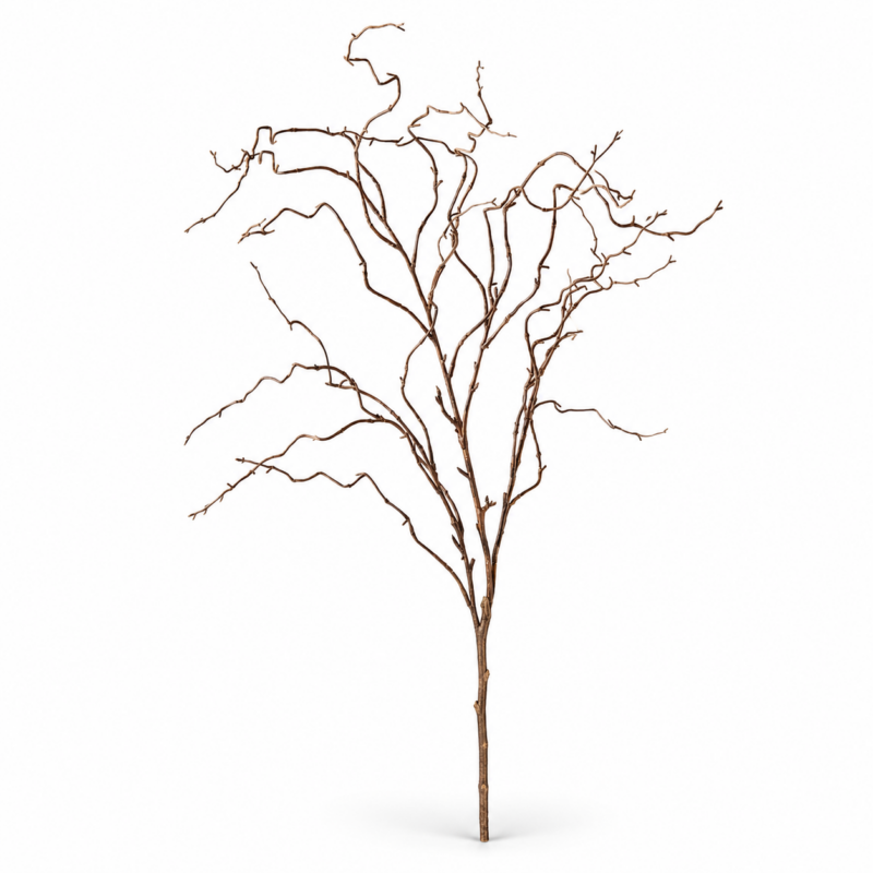 TWIG CURLY WILLOW SPRAY BROWN