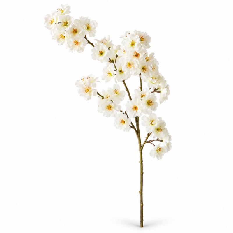 BLOSSOM APPLE WHITE