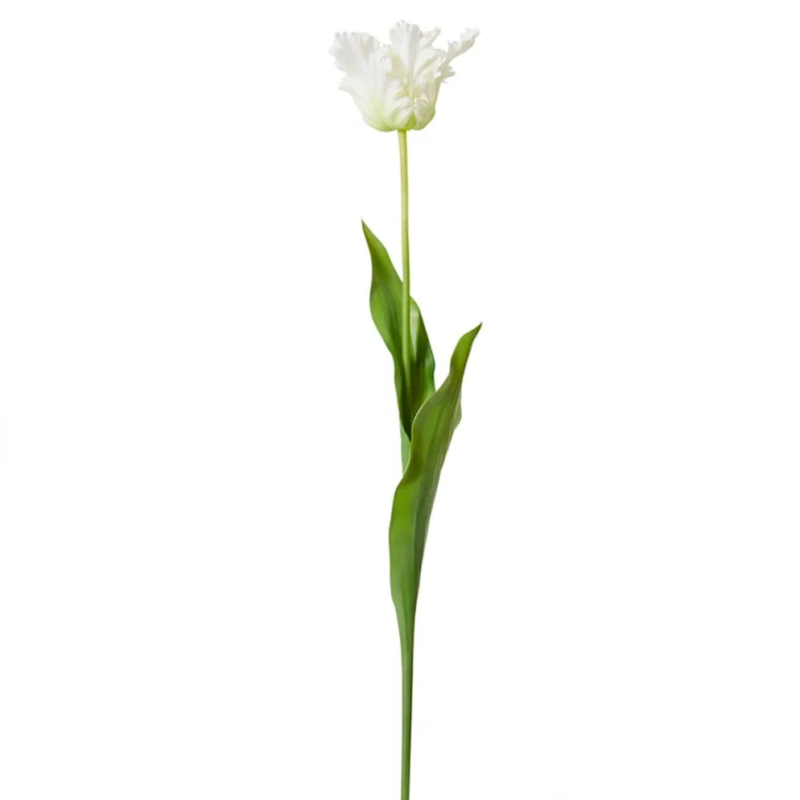 TULIP PARROT SPRAY - WHITE