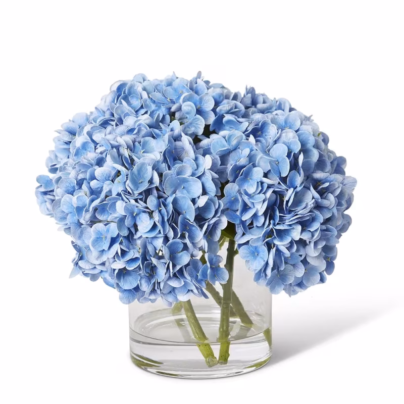 HYDRANGEA BLUE MIX - MEDIUM